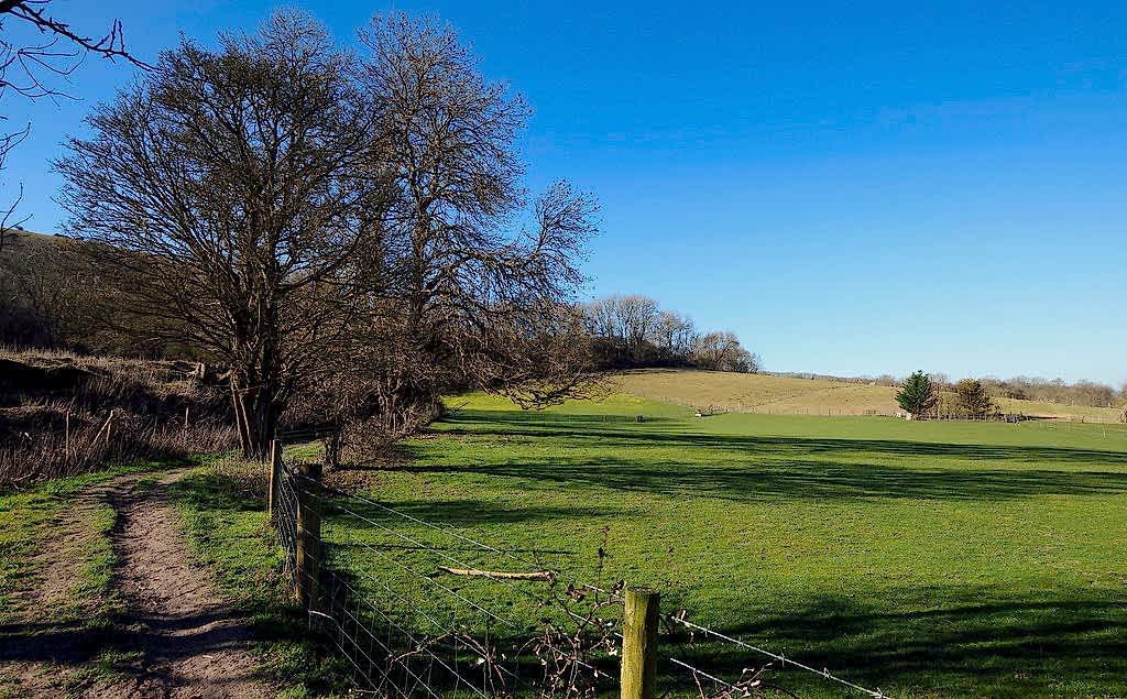South Downs.jpg